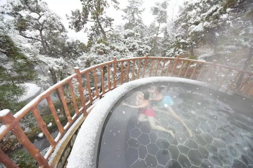 蒙山旅游度假區(qū)圓滿收官，累計(jì)接待游客26.07萬人次，實(shí)現(xiàn)旅游綜合收入1060.29萬元